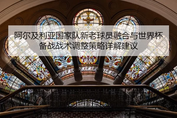 阿尔及利亚国家队新老球员融合与世界杯备战战术调整策略详解建议